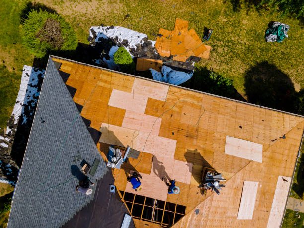 Best Storm Damage Roof Repair  in Florissant, MO